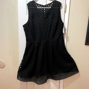Lane Bryant mid length, black tank style dress